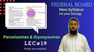 Peroxisomes and Glyoxysomes  class 11 [upl. by Xaviera]