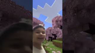 Minecraft trolleri [upl. by Deonne]