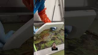 Hydro Dipping Wc Lid shorts viral viralvideo ytshorts trending [upl. by Ellery]