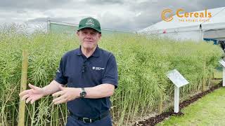 Corteva Agriscience at Cereals Event 2024 Pioneer OSR [upl. by Sahcnip]