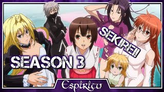 Sekirei Season 3 Will Happen [upl. by Anelrad]