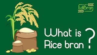 What is Rice bran [upl. by Gnanmas711]