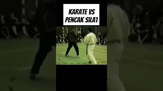 Pencak silat 🇮🇩 vs Karate 🇯🇵 [upl. by Adnamar654]