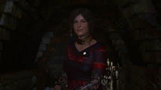 Shadow of the Tomb Raider Mods for High Setttings [upl. by Anovad799]