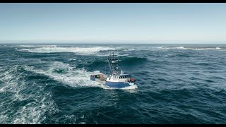 Just Visuals Dungeness Crab Season  Winchester Bay [upl. by Anilac]