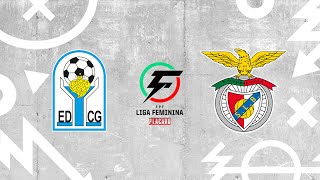 Liga Feminina Placard  Resumo  Escola DC Gondomar 0  3 SL Benfica  Jornada 10 [upl. by Arde]