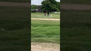 Labrador retriever dog running in full speed doglover [upl. by Hadden998]