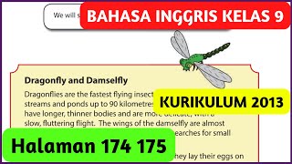 Bahasa Inggris Kelas 9 Halaman 174 175 Dragonfly and Damselfly [upl. by Konopka]