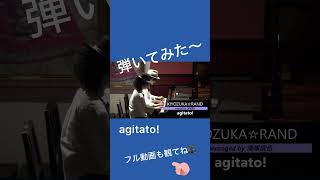 agitato【ピアノ連弾】清塚信也 [upl. by Lunetta]