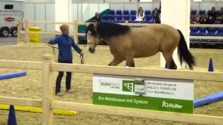 Equitana 2015  Equikinetik mit Pferdefluesterer Michael Geitner [upl. by Alliber]