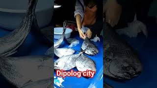 Public market sa Dipolog city fishing seafood fish [upl. by Yrrab]