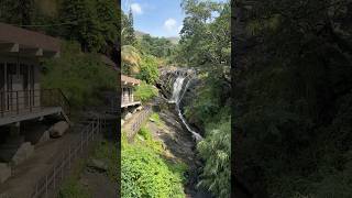 Beautiful waterfalls near a home stay waterfall nature [upl. by Zosima493]