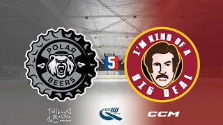 Polar Beers v Big Deals  Div 5  13th November  IceHQ Rec League ice hockey [upl. by Teik3]