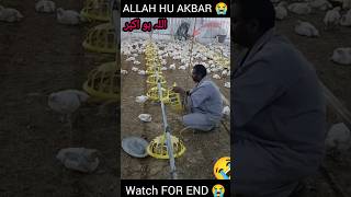 HUSNAIN BHAI FAKIEH VLOG 😭foryou tranding popular virlvideo allahuabar gesibaglari [upl. by Ruelle]