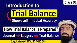 Part 1  Introduction to Trial Balance  Dcom  Bcom  DBA  Mcom  BBA and BS Accounting [upl. by Tedmund]