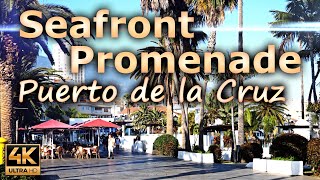 Puerto de la Cruz Seafront Promenade Tenerife Spain  4K [upl. by Hiamerej]