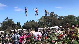 Flower show happynewyearandhappybirthday automobile australia [upl. by Linnell]