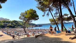 Paguera 💜 Mallorca 🇪🇸 Rundgang Vormittag 💜 Boulevard ☀️ Palmira 🌴 Tora und Seitenstraßen 🏖😎 [upl. by Heeley]