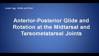 Anterior posterior glide and rotation at Midtarsal and Tarsometatarsal joints [upl. by Lua917]