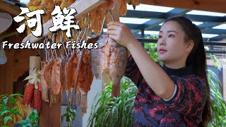 Freshwater Fishes Fresh Flavors from Streams in Yunnan Mountains【滇西小哥】 [upl. by Liag]