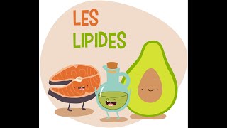 Biochimie  les lipides ملخص رائع لدرس الدسم 🤩❤️  biologie  médecine  pharmacie [upl. by Zapot399]