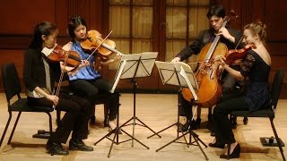 HAYDN — Quartet in Bflat major Hob III44 Op 50 No 1 “Prussian” [upl. by Ennaeiluj]