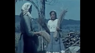 Bela Krajina Leta 1940 originalni BARVNI filmski posnetki [upl. by Hoye]