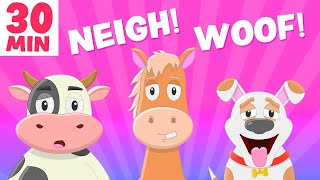 Funny Animal Sounds Song PLUS more kids  Silly Billy Toons [upl. by Orola176]