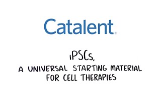 iPSCs a Universal Starting Material for Cell Therapies [upl. by Llertnod]