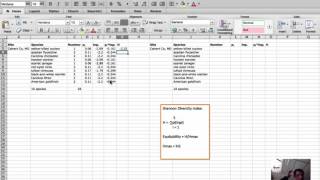 Diversity Calculation  Shannon diversity index and equitability in Excel [upl. by Edwards786]