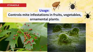 Etoxazole insecticide Mite Control Guide for Farmers for spider mites [upl. by Madonia]