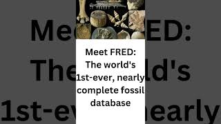 Meet FRED The worlds 1stever nearly complete fossil database [upl. by Neeli224]