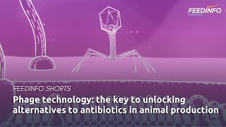 Phage technology The key to unlocking alternatives to antibiotics in animal production [upl. by Atenahs]