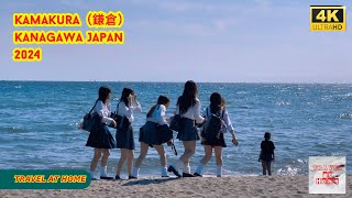 4k hdr japan travel 2024  Walk in Kamakura（鎌倉）Kanagawa japan  Relaxing Natural City ambience [upl. by Battat]