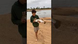 Part of the camping video caught a couple barras fishing lure molixofficial Rattydog [upl. by Urbani474]