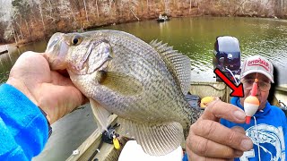 This Slip Bobber amp Live Minnow Setup Catches Giant Crappie [upl. by Soiritos]