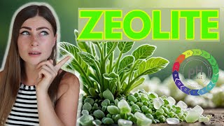 Zeolite Health Benefits Heavy Metal Detox Weight Loss amp More [upl. by Daria]