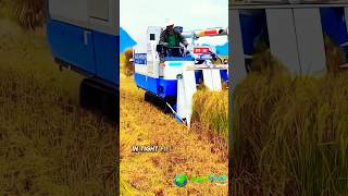 Compact Farming Made EASY with Mini Rice Harvester [upl. by Arlan]