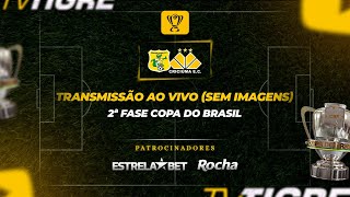 BRASILIENSE x CRICIÚMA  2ª FASE DA COPA DO BRASIL 2024 SEM IMAGENS [upl. by Alimrahs]