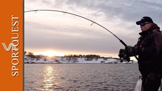 Fishing The Species Rich Waters Of Saltstraumen Lodge  Bodo Norway [upl. by Ahsauqram]