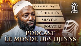 PODCAST LE MONDE DES DJINNS｜Avec Pr Abdulwadoud｜Par Islam Institut [upl. by Anivlac28]