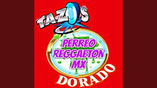 TAZO DORADO [upl. by Yme]