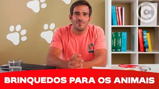 Quais os brinquedos mais adequados para o meu cão e gato  Continente [upl. by Feldt]