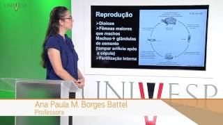 Zoologia de Invertebrados  Aula 10  Filos Acanthocephala e Entoprocta [upl. by Aivlis59]