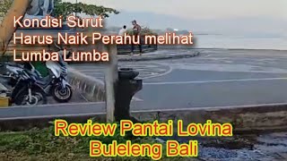 Review Pantai Lovina  Habitat Lumba lumba Buleleng Bali [upl. by Norven250]