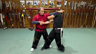 Grandmaster Walter Toch lesson traditionel Wing Chun [upl. by Shaina160]