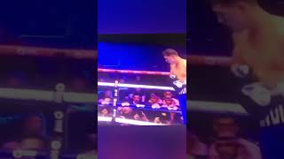 Author squeaks past Bivol undisputed boxing [upl. by Korney]