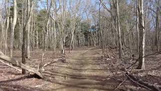 Carmans River Trail in Yaphank Long Island NY Views [upl. by Urbain700]