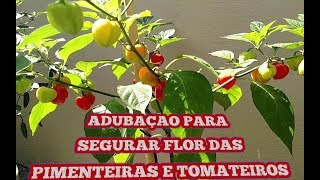 ADUBAÇÃO CORRETA PARA SEGURAR FLORSuper Adubo Feito Com Carvão e Mais 3 Excelentes Adubos Orgânicos [upl. by Swift]