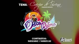 CUERPO DE SIRENA  Conjunto Ritmico LOS OSOS DEL RITMOAudio Promocional 2016 ALBERT PRODUCCIONES [upl. by Ytsirt596]